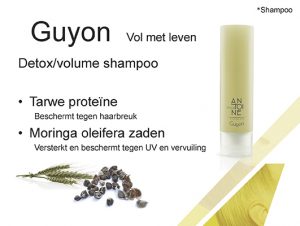 Guyon