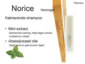 Norice