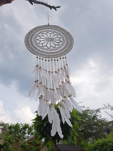 Dromenvanger in boom